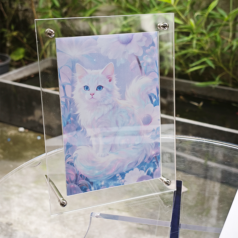 Cadre photo en acrylique trans - Luxury Lifestyle Photos avis et prix
