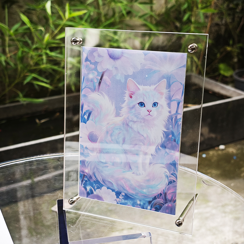 Cadre photo en acrylique trans - Luxury Lifestyle Photos avis et prix