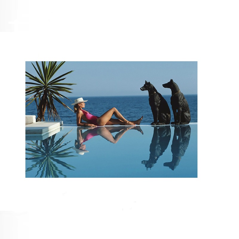 Retro Poolside Host Luxury Lif - Luxury Lifestyle Us avis et prix