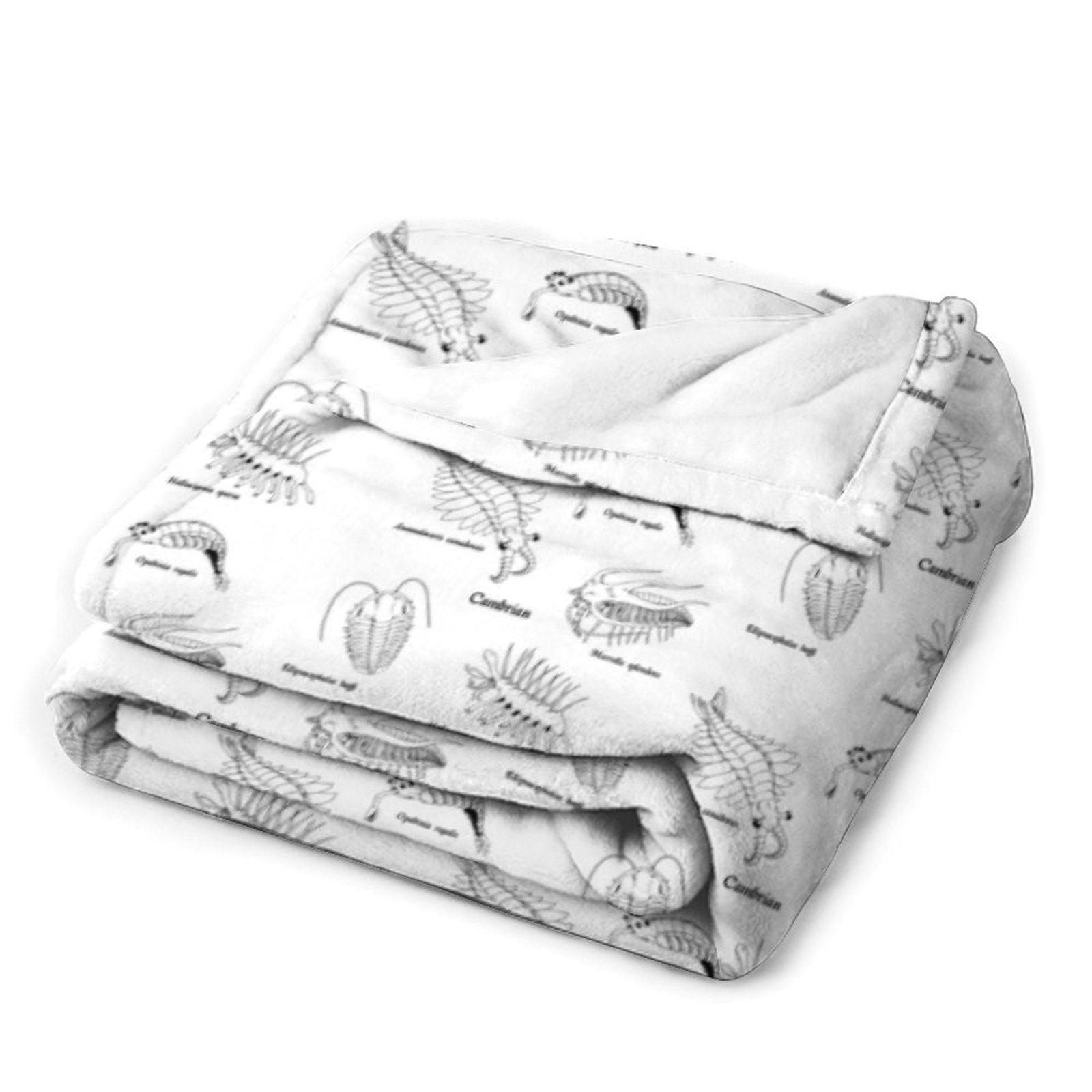 Couverture en flanelle Cambria - Luxury Lifestyle Hotel avis et prix
